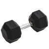 Hantel 25 kg Gusseisen