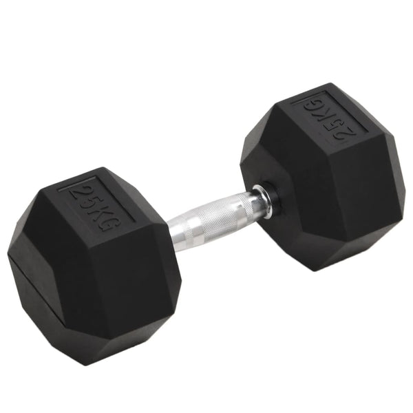 Hantel 25 kg Gusseisen