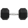 Hantel 25 kg Gusseisen