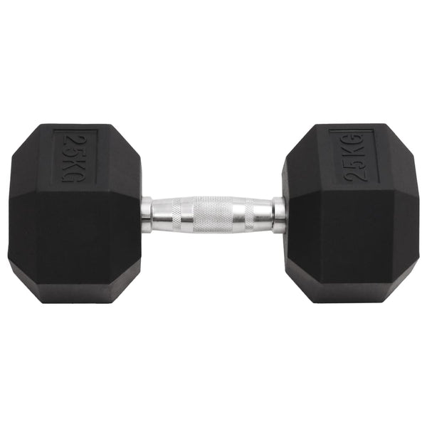 Hantel 25 kg Gusseisen