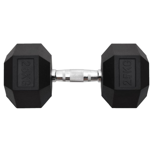 Hantel 25 kg Gusseisen