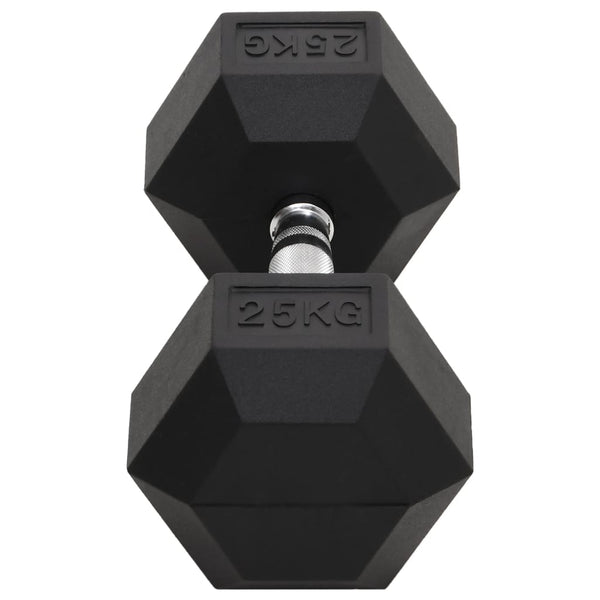 Hantel 25 kg Gusseisen