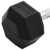 Hantel 25 kg Gusseisen