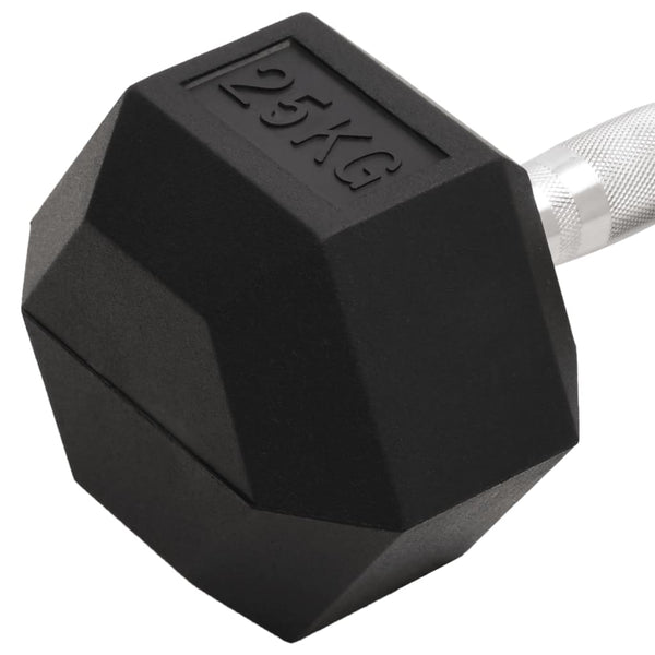 Hantel 25 kg Gusseisen