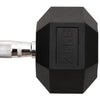 Hantel 25 kg Gusseisen