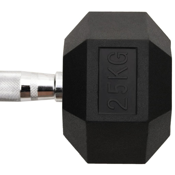 Hantel 25 kg Gusseisen