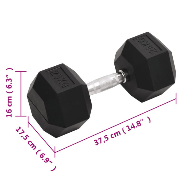Hantel 25 kg Gusseisen