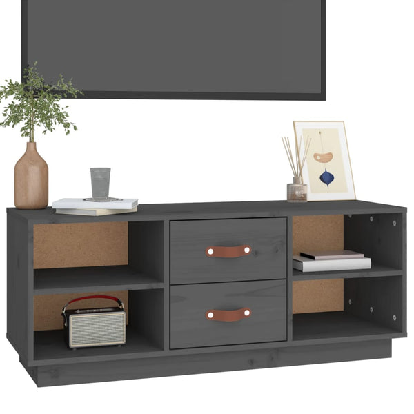 Graues TV-Möbel Eleonera 100x34x40cm (Kiefer)