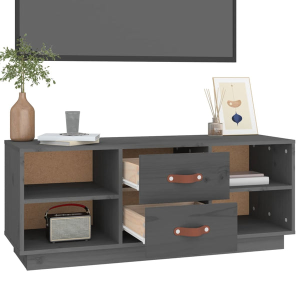 Graues TV-Möbel Eleonera 100x34x40cm (Kiefer)