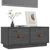 Graues TV-Möbel Atinel 80x34x35cm (Kiefer)
