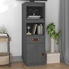 Grauer Schrank Davijani 34x40x108,5cm (Kiefer)