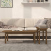 Honigbrauner Couchtisch-Set Aviana 2-teilig (Kiefer)