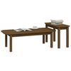 Honigbrauner Couchtisch-Set Aviana 2-teilig (Kiefer)