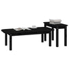 Schwarzes Couchtisch-Set Aviana (2-teilig, Kiefer)