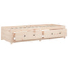 Schlafsofa Legarde 75x190cm (Einzel Kiefer)