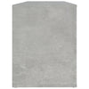 Betongrauer Schuhschrank Agvani 100x35x45cm (Holz)