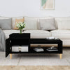 Couchtisch Calistita 100x50x45cm, schwarz (Holz)