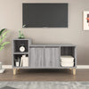 Graues TV-Möbel Costico 100x35x55cm (Holz)