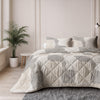 VUODEVAATTEET - Checkered 2-pack tyynyliina Beige/Harmaa