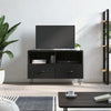 Schwarzes TV-Möbel Tihenea 80x36x50cm (Holz)