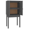 Grauer Schrank Ilaro 60x40x120cm (Kiefer)