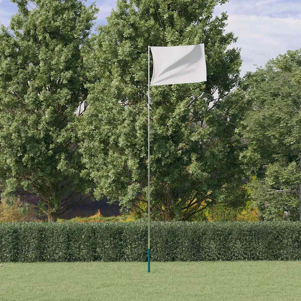 Hopea lipputanko teleskooppivarsi Cayden 5,55 m (alumiini)