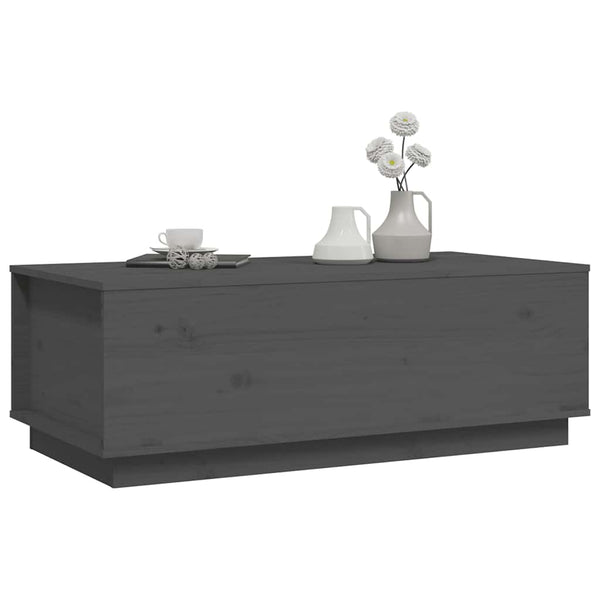 Couchtisch Artemi grau 100x50x35cm (Kiefer)