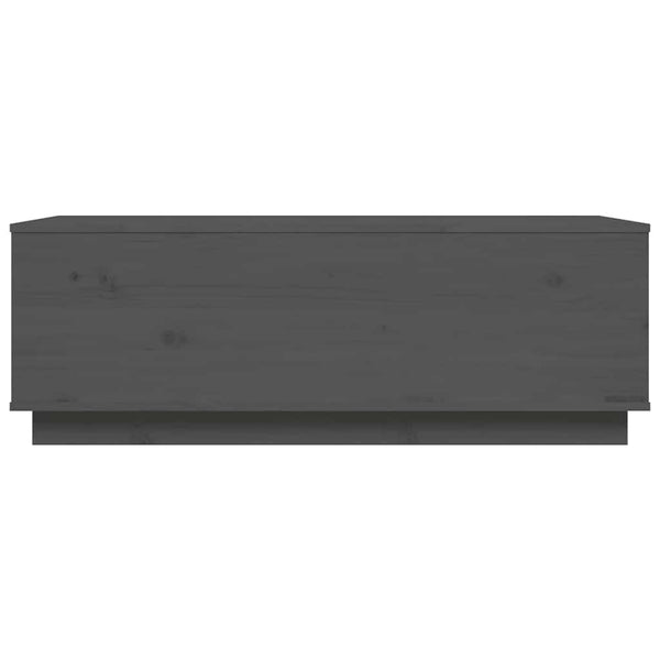 Couchtisch Artemi grau 100x50x35cm (Kiefer)