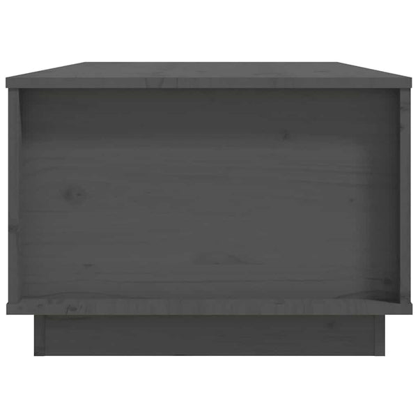 Couchtisch Artemi grau 100x50x35cm (Kiefer)