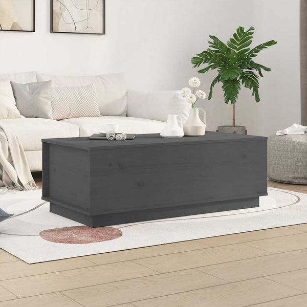 Couchtisch Artemi grau 100x50x35cm (Kiefer)