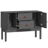 Graues Sideboard Hassaina 110x40x78cm (Kiefer)