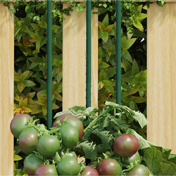 Pflanzenstütze Bonbonica 180 cm (30 Stück Stahl)