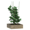 Gartengrün Pflanzenstütze Loc 90cm (4 Ringe 5 Stk. Stahl)