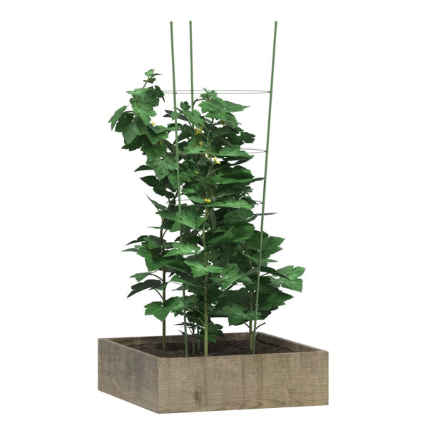 Gartengrün Pflanzenstütze Loc 90cm (4 Ringe 5 Stk. Stahl)