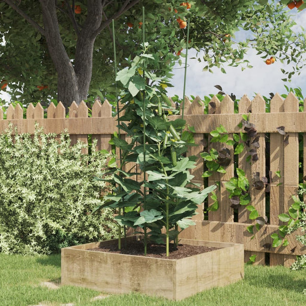 Gartengrün Pflanzenstütze Loc 90cm (4 Ringe 5 Stk. Stahl)