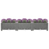 Abelardo 120x40x23cm erhöhter Blumenkasten (Polypropylen)
