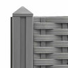 Raspberry Rouge Ultimate Detangler Abelardo (1 St.)