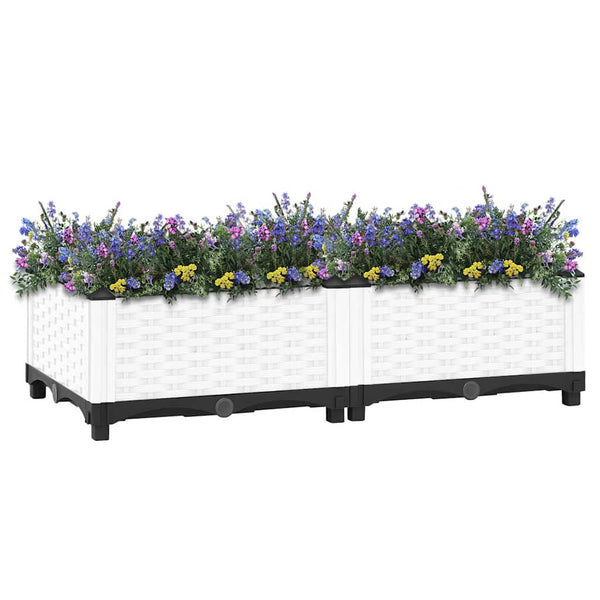 Pflanzkasten 80x40x23cm erhöht Abelardo (Polypropylen)