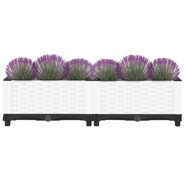 Pflanzkasten 80x40x23cm erhöht Abelardo (Polypropylen)