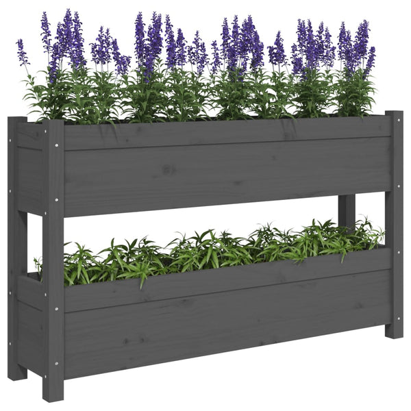 Grauer Blumenkasten Anci 112x25x66cm (Kiefer)