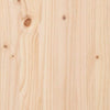 Vaateteline Traiciu 100x45x150cm (mänty)