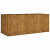 Corten-Stahl Hochbeet Bosnegeanu 200x80x80cm