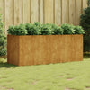 Corten-Stahl Hochbeet Bosnegeanu 200x80x80cm