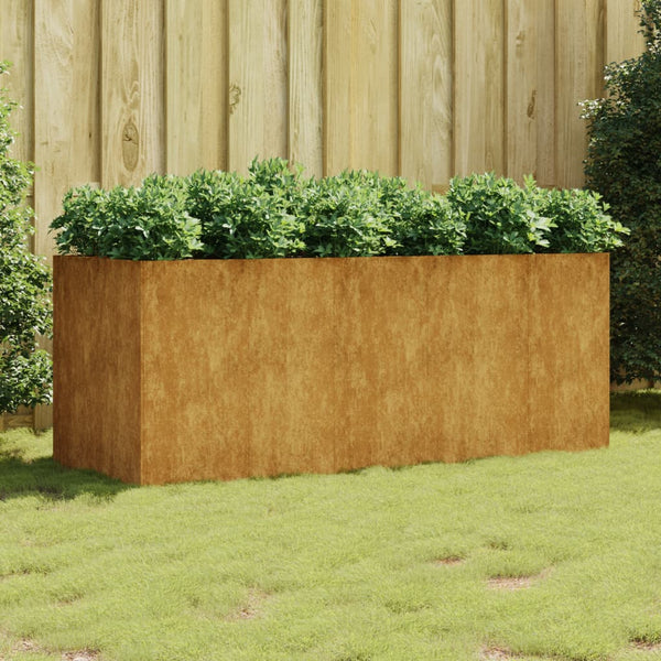 Corten-Stahl Hochbeet Bosnegeanu 200x80x80cm