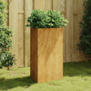Cortenstahl Gartenblumenkasten Gemur 50x43x75cm