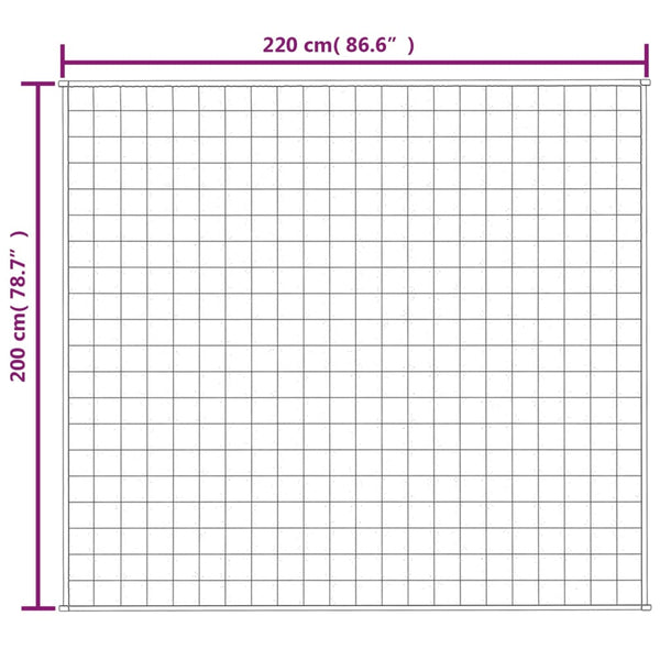 Graue Gewichtsdecke Ghenadie 200x220cm (13 kg Stoff)