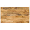 Couchtisch Danilica 100x55x35cm (Mangoholz)