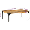 Couchtisch Danilica 100x55x35cm (Mangoholz)