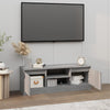 Graues TV-Möbel mit Tür Ilviana 102x30x36cm