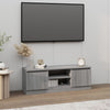 Graues TV-Möbel mit Tür Ilviana 102x30x36cm